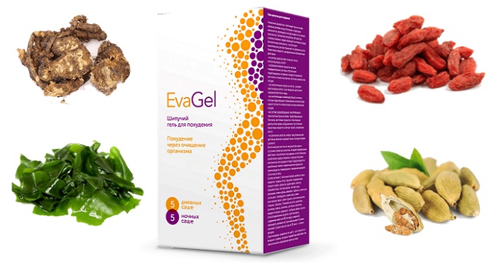 EvaGel для похудения: результативный и безопасный комплекс для получения роскошной фигуры!