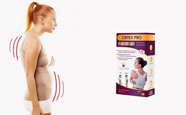 Ortex Pro комплекс для спины: залог красоты и здоровья вашего тела!