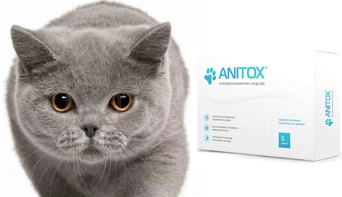 Anitox средство от паразитов для животных: быстро выведет паразитов и вернет питомцам здоровье!